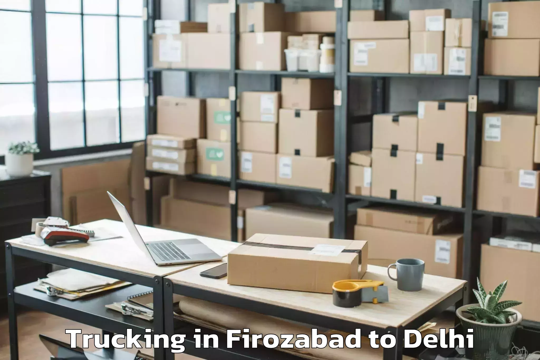 Professional Firozabad to Naraina Industrial Estate Trucking